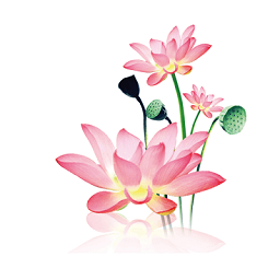 图片[1]-水墨工具箱 v9.9.9 多功能工具箱-资源社