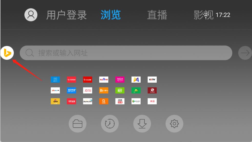 飞视浏览器